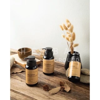 Herbal Ground แชมพูข้าวก่ำน้ำผึ้ง ลดผมร่วง ลดผมหงอก ลดรังแค กระตุ้นผมงอกใหม่ แก้ปัญหาหนังศีรษะ
