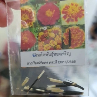 ดาวเรือง📌10แถม1!!🎯ถูกที่สุด10 บ.📌เมล็ดพันธุ์ดอกดาวเรืองทุกสายพันธุ์ก 5-100 เมล็ด🌱งอกง่าย 🎈ดอกดก🌱สวยโดดเด่น