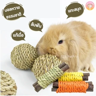 ของเล่นกระต่าย ของเล่นแฮมสเตอร์ แครอทขัดฟัน ไม้ลับฟันจากธรรมชาติ สะอาด ปลอดภัย แทะสนุกทั้งวัน B031