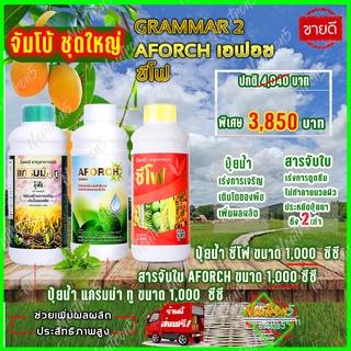 💥ส่งฟรี 💥แกรมม่าทู จอมยุทธ์ (1000 ซีซี ) ปุ๋ยน้ำแกรมม่าทู+ซีโฟ ปุ๋ยน้ำซีโฟ (1000 ซีซี )+เอฟอช สารจับใบ  (1000 ซีซี )