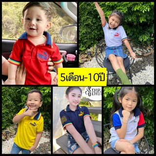 เสื้อโปโลเด็กแฟชั่น เสื้อโปโลเด็ก (5 เดือน - 10 ปี)