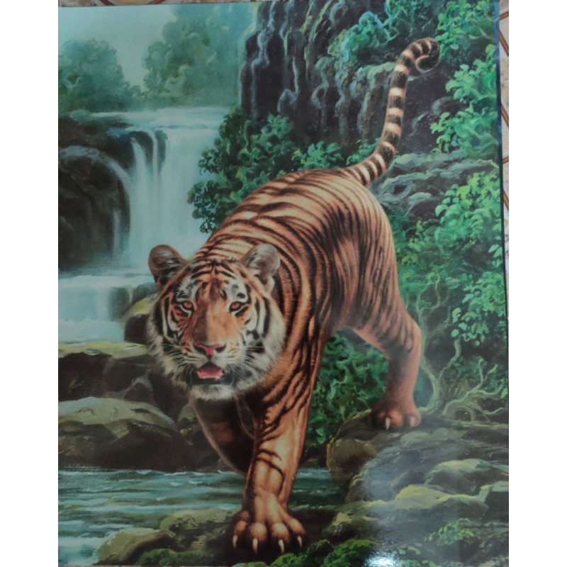 รวมกัน 102+ ภาพพื้นหลัง ภาพเสือมงคล ความหมาย ใหม่ที่สุด