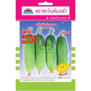 เมล็ดพันธ์ุ แตงกวา อัคนี 1 กรัม/ซอง ตราตะวันต้นกล้า