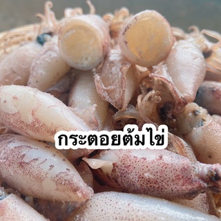 กระตอยต้มไข่ ปลาหมึกตากแห้ง อาหารทะเลแห้ง อาหารทะเลแปรรูป - Pailin seafood