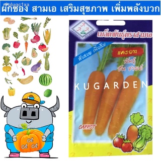 AAA 🇹🇭 ผักซอง สามเอ A040#แครอท พันธุ์ซันชายด์  เมล็ดพันธุ์ เมล็ดพันธุ์ผัก เมล็ดผัก ผักสวนครัว ตราAAA