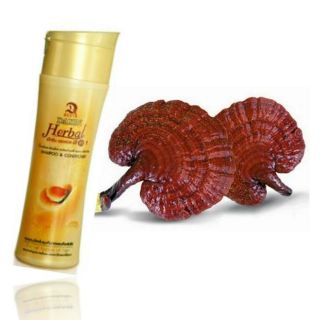 แชมพูผสมครีมบำรุงผม Shampoo HERBAL 2 in 1