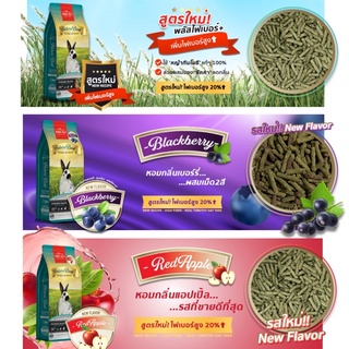 Bunny Best original Nature Best อาหารเม็ดกระต่าย เสริมวิตามิน สำหรับสัตว์เลี้ยง Indoor ขับถ่ายดี ท้องไม่อืด ขนาด 1.5 kg