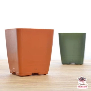 กระถางสี่เหลี่ยม 4 นิ้ว SP040 กระถางพลาสติก แคคตัส กระบองเพชร ไม้อวบน้ำ Cactus&Succulent