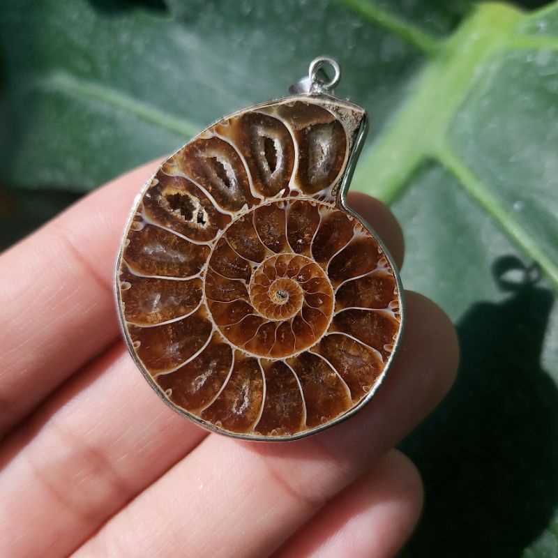 จี้ฟอสซิลแอมโมไนต์(Ammonite Fossil Pendant)​ ภาพจากสินค้าจริง พร้อมส่ง!!