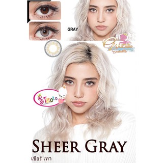 Sheer  Gray  TATOTO Contact Lenses บิ๊กอาย คอนแทคเลนส์ Sheer Gray