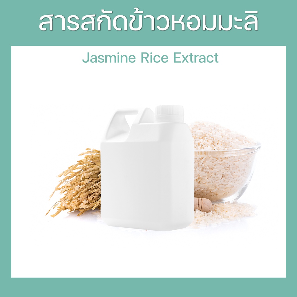สารสกัดข้าวหอมมะลิ Jasmine Rice Extract ( Oryza sativa ) ชนิดน้ำ สำหรับผสมเครื่องสำอาง ขนาด 500-1000