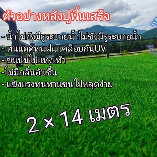 หญ้าเทียมขนาด2×14เมตรAAAขนสูง2cm. ขนนุ่มพร้อมส่ง Artificial grass size 2×14meters AAA, feather height 2cm. Soft bristles