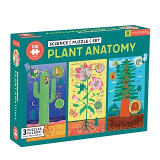 Plant Anatomy Science Puzzle Set  จิ๊กซอว์ชุดความรู้วิทยาศาสตร์ : ลายกายวิภาคพืช