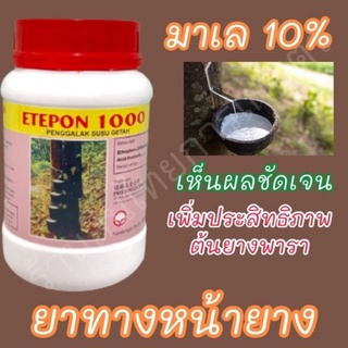 มาเล 10% ฝาแดง ยาทาหน้ายาง ยาเร่งนำ้ยาง 500 cc.