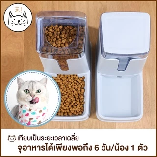 KUMAまเครื่องให้อาหารแมวอัตโนมัติ 3.5 ลิตร ที่ให้อาหารอัตโนมัติ เครื่องให้อาหาร สุนัข ชามข้าว ชามอาหาร หมา แมว อัตโนมัติ