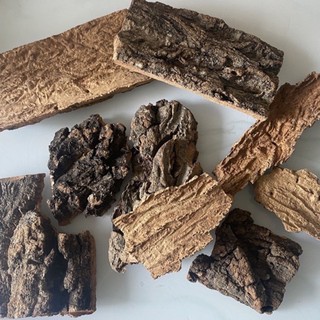 เปลือกไม้ ไม้คอร์ก Cork Bark บาง จากธรรมชาติตกแต่งตู้เลี้ยงสัตว์ สำหรับ กบ​ งู​​ ตะขาบ​​ เก๊กโค​ แมงมุม Isopod