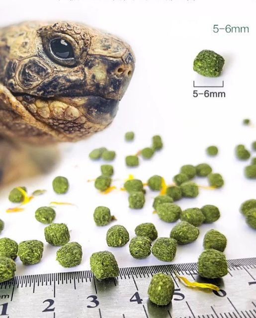 อาหารเต่าบก Macfn สูตรกระบองเพชร แพคเกจ 3 กิโลกรัม - รูปที่ 4