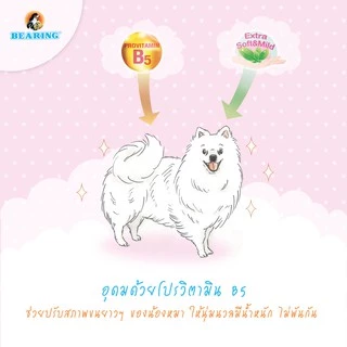 Bearing ครีมนวดขน ครีมนวดขนสุนัข หมา ครีมนวดบํารุงขน บำรุงขน แก้ขนพันกัน Groomer’s Choice Conditioner