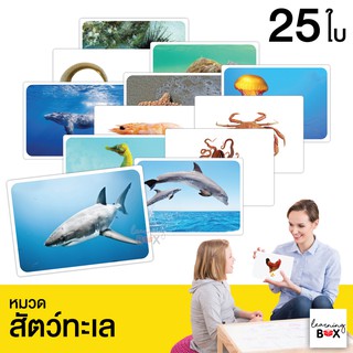 flashcard แฟลชการ์ด บัตรคำศัพท์ใหญ่ [ หมวดสัตว์ทะเล Sea animal ]