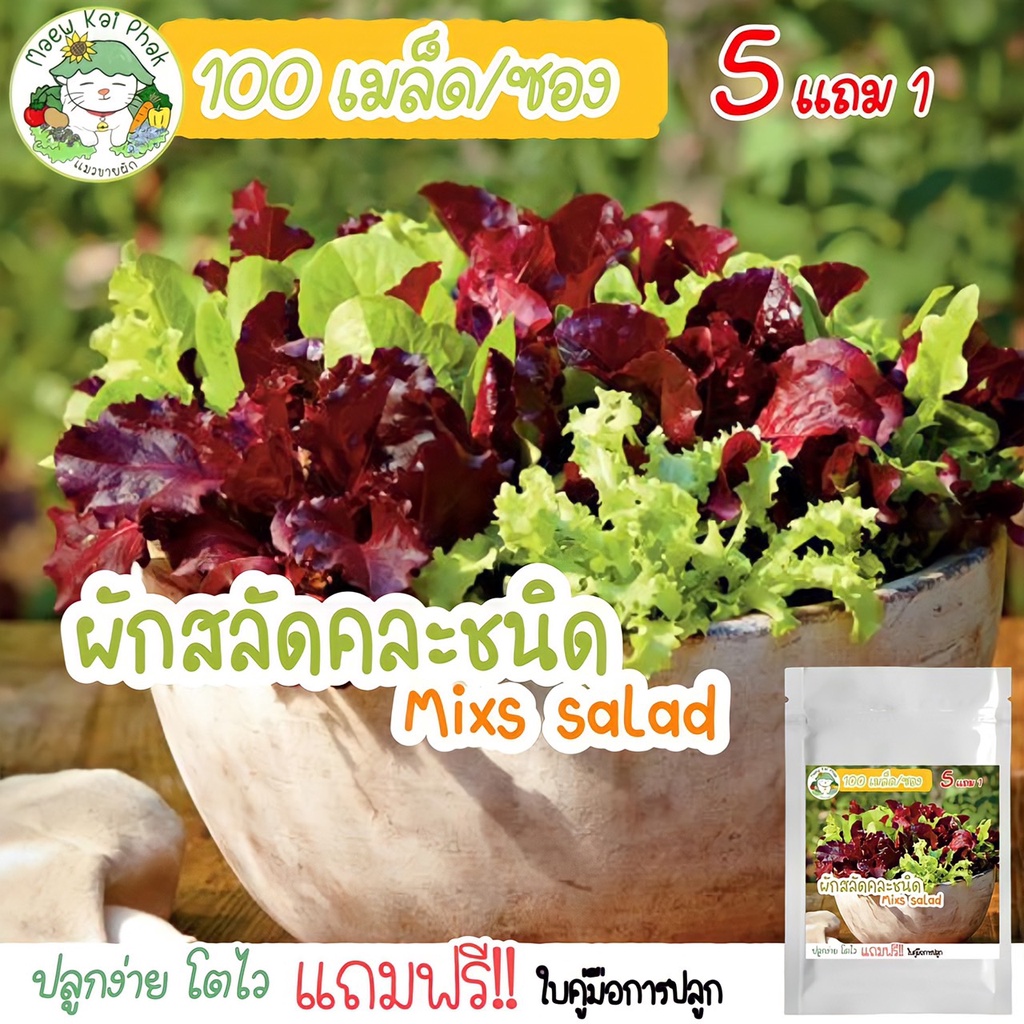 เมล็ดผักสลัด สลัดคละชนิด (mixs salad Lettuce) 100 เมล็ด เมล็ดพันธุ์แท้ นำเข้าจากต่างประเทศ ปลูกง่าย โตไว ขายดี ถูก