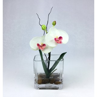 OrientalFineArt แจกันดอกกล้วยไม้ประดิษฐ์ สไตล์มินิมอล Artificial Orchid in glass ดอกไม้พร้อมแจกัน(SQG-761-L FL1)