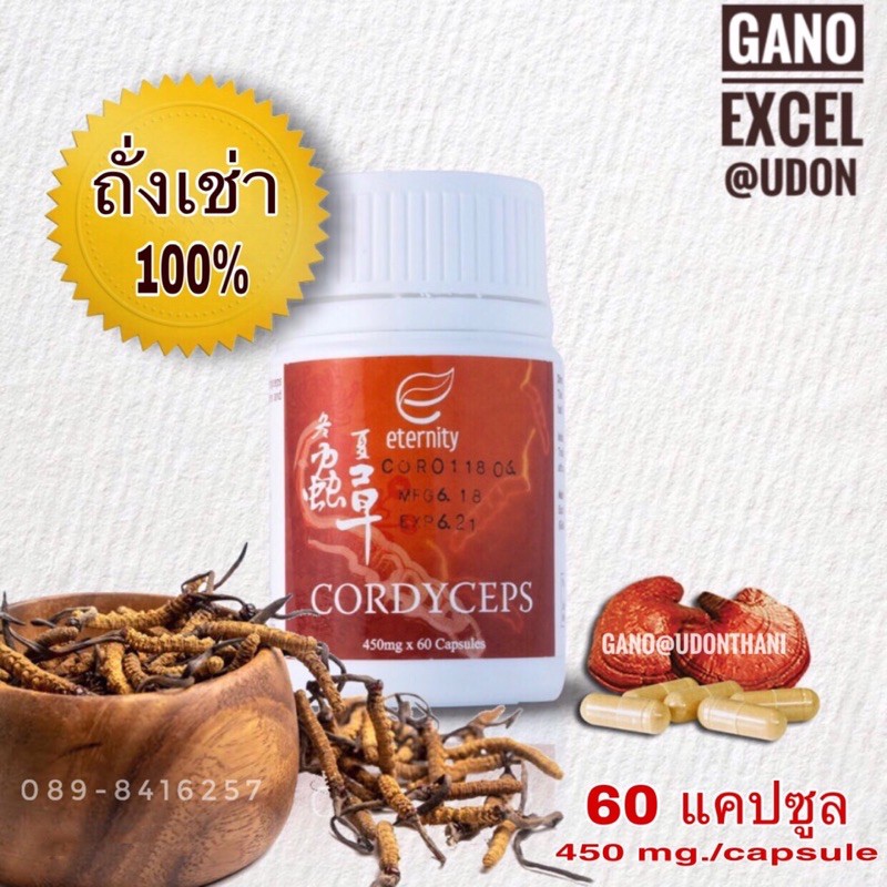ถั่งเช่า cordyceps 60 capsules