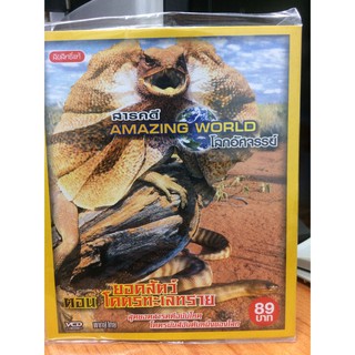 VCDสารคดี AMAZING WORLD ตอน ยอดสัตว์โครตทะเลทราย(VCD3589-ยอดสัตว์โครตทะเลทราย)