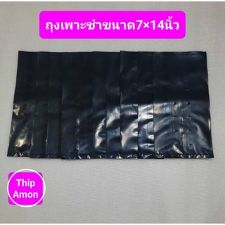 ถุงเพาะชำสีดำขนาด 7×14 จำนวน 10 ใบ