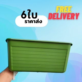 กระถางแขวนไซด์Lแพคครึ่งโหล6ใบราคาส่ง+ส่งฟรี