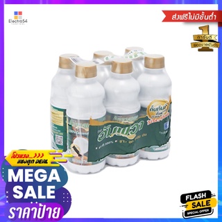 อัมพวา กะทิ 100% 250 มล. X6AMPAWA COCONUT MILK 100% 250 ML. X6