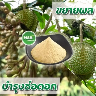 อะมิโน แอซิด (Amino Acid Power) 80 %ขนาด 20 กิโลกรัม (ออเดอร์ละ 1 กระสอบเท่านั้น)