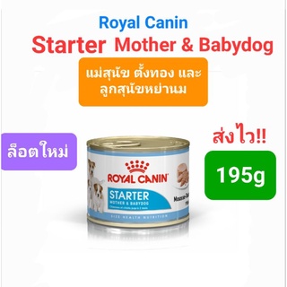 กระป๋อง Royal Canin Starter Mother &amp; Babydog 195g แม่สุนัข ตั้งท้อง และลูกสุนัขหย่านม อายุ 1 - 2 เดือน