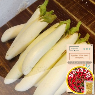 Eggplant Seeds, White, Vegetable Seeds #042เสื้อ/สร้อยข้อมือ/ดอกทานตะวัน/หมวก/พาสต้า/มะละกอ/ผักกาดหอม/เด็ก/ผู้ชาย/แอปเปิ