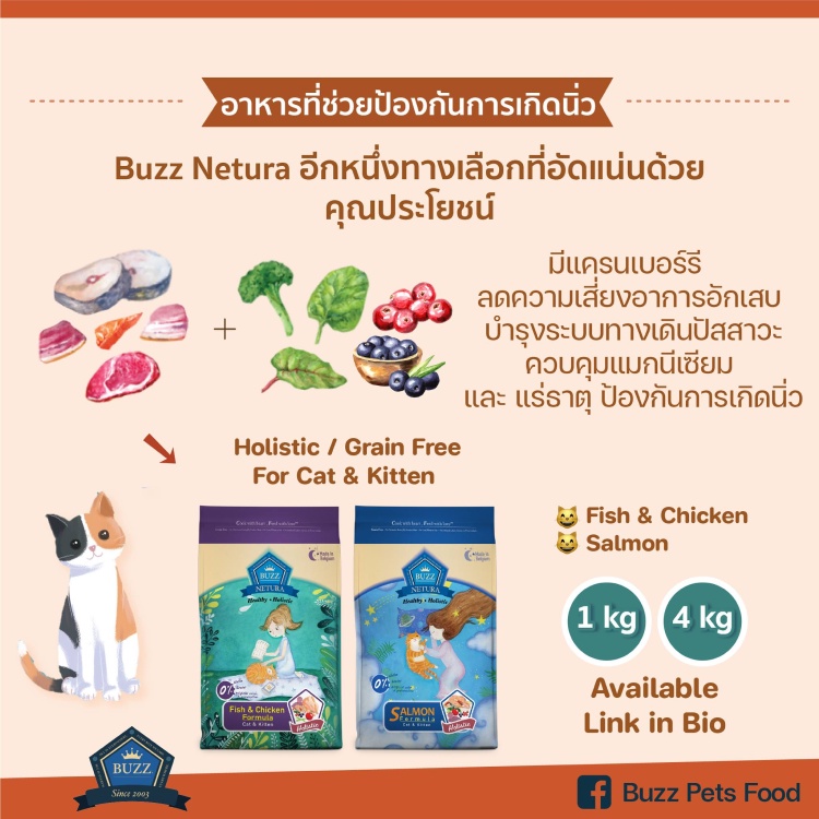 รูปภาพ 6