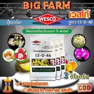 บรรจุ 3 กิโลกรัม WESCO ปุ๋ย 13-0-46 โพแทสเซียมไนเตรท จี-ฟาสต์ ปุ๋ยเกล็ด เวสโก้ สารเร่งช่อดอก เพิ่มขนาด ดอก ผล และหัว