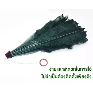 ปลีก/ส่งตาข่ายดักปลา ที่ดักกุ้งฝอย มุ้งดักปลา 4 ช่อง 6 ช่อง 8 ช่อง 10 ช่อง แพ็ค 5/10 ชิ้น