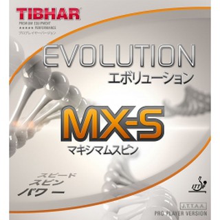 ยางปิงปอง Tibhar evolution MXS ฟองน้ำMAX