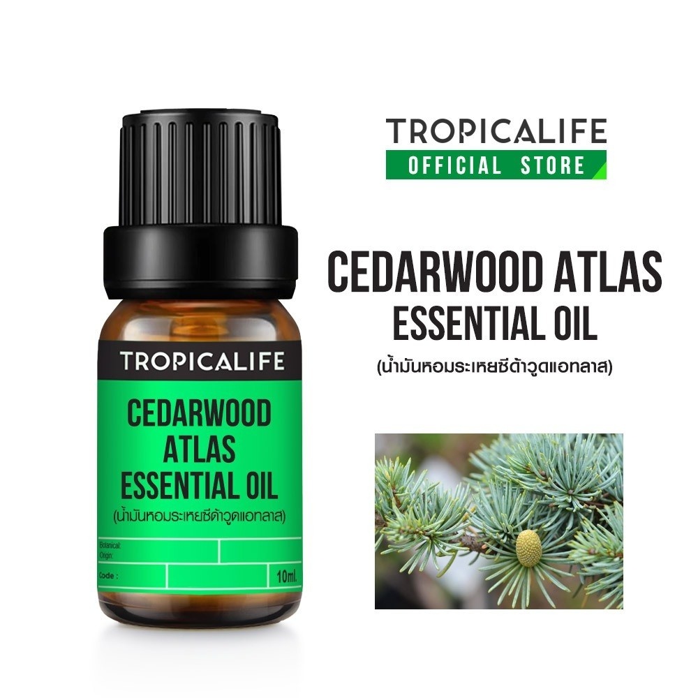TROPICALIFE น้ำมันหอมระเหยซีด้าวูดแอทลาส เกรดธรรมดา และ ออแกนิค ขนาด 10ml (CEDARWOOD ATLAS ESSENTIAL OIL)