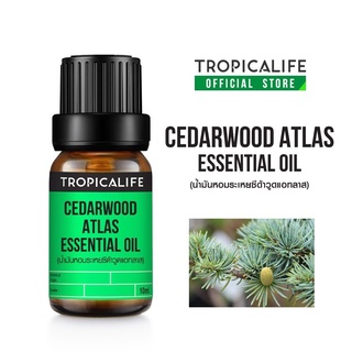 น้ำมันหอมระเหยซีด้าวูดแอทลาส CEDARWOOD ATLAS ESSENTIAL / ORGANIC  OIL ปริมาณ 10ml