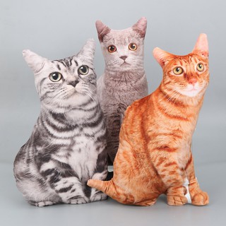 หมอนตุ๊กตาแมวขนาด 50 ซม  cat plush pillow orange cats British shorthair cat Felis catus