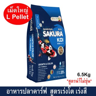 อาหารปลาคาร์ฟ น้ำไม่ขุ่น อาหารปลาซากุระโค่ย สูตรเร่งโต&amp;เร่งสีแบบ2in1เม็ดใหญ่6มม.6.5กก.SAKURA KOI GROWTH &amp; COLOR