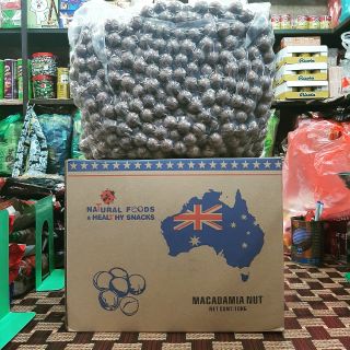 แม็คคาดิเมีย แบบมีเปลือก ยกลัง!! 10กิโล พร้อมที่แกะเปลือก20อัน