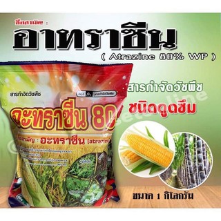 อาทราซีน80 🌽 สารกำจัดวัชพืช ใน อ้อย ข้าวโพด  ก่อนงอกทั้งใบแคบและใช้กว้าง ( 1 กก. )