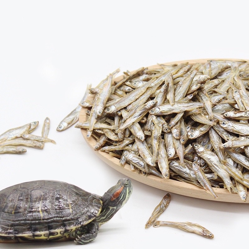 ปลาอบแห้ง อาหารเต่าน้ำ เต่าญี่ปุ่น ขนมสุนัข ขนมแมว ไม่ปรุงรส หนูแฮมเตอร์ ขนาดประมาณ ประมาณ