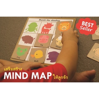 [Bambino] เกม Mind Map 18 in 1