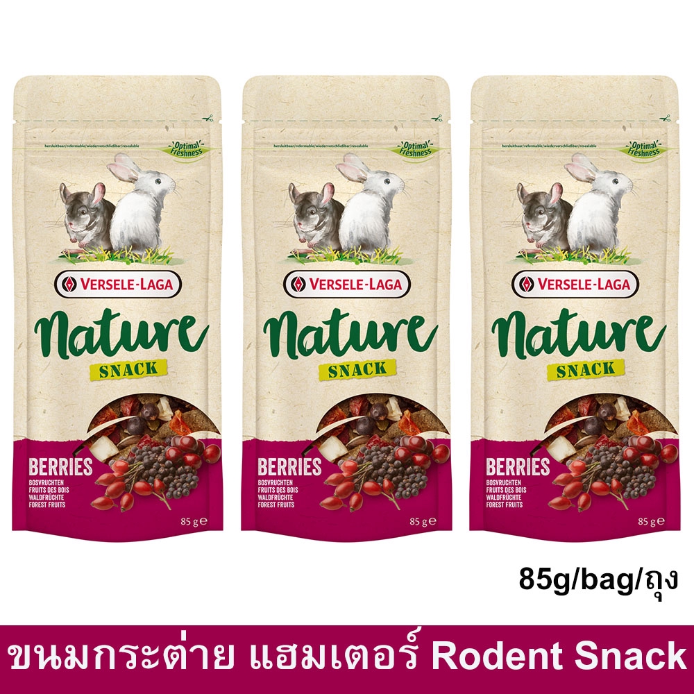 ขนมหนูแฮมเตอร์ ขนมกระต่าย ขนมแฮมเตอร์ ขนมแกสบี้ กระรอก ขนมสัตว์ฟันแทะ รสเบอร์รี่ 85ก. (3ห่อ) Versele