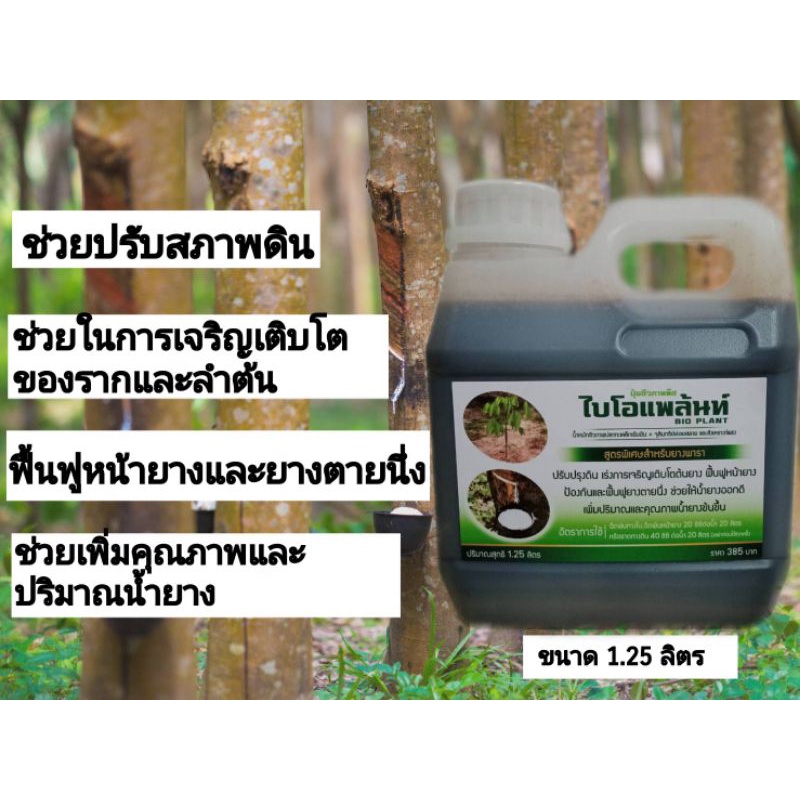 น้ำหมักชีวภาพ สูตรพิเศษสำหรับยางพารา 1.25 ลิตร