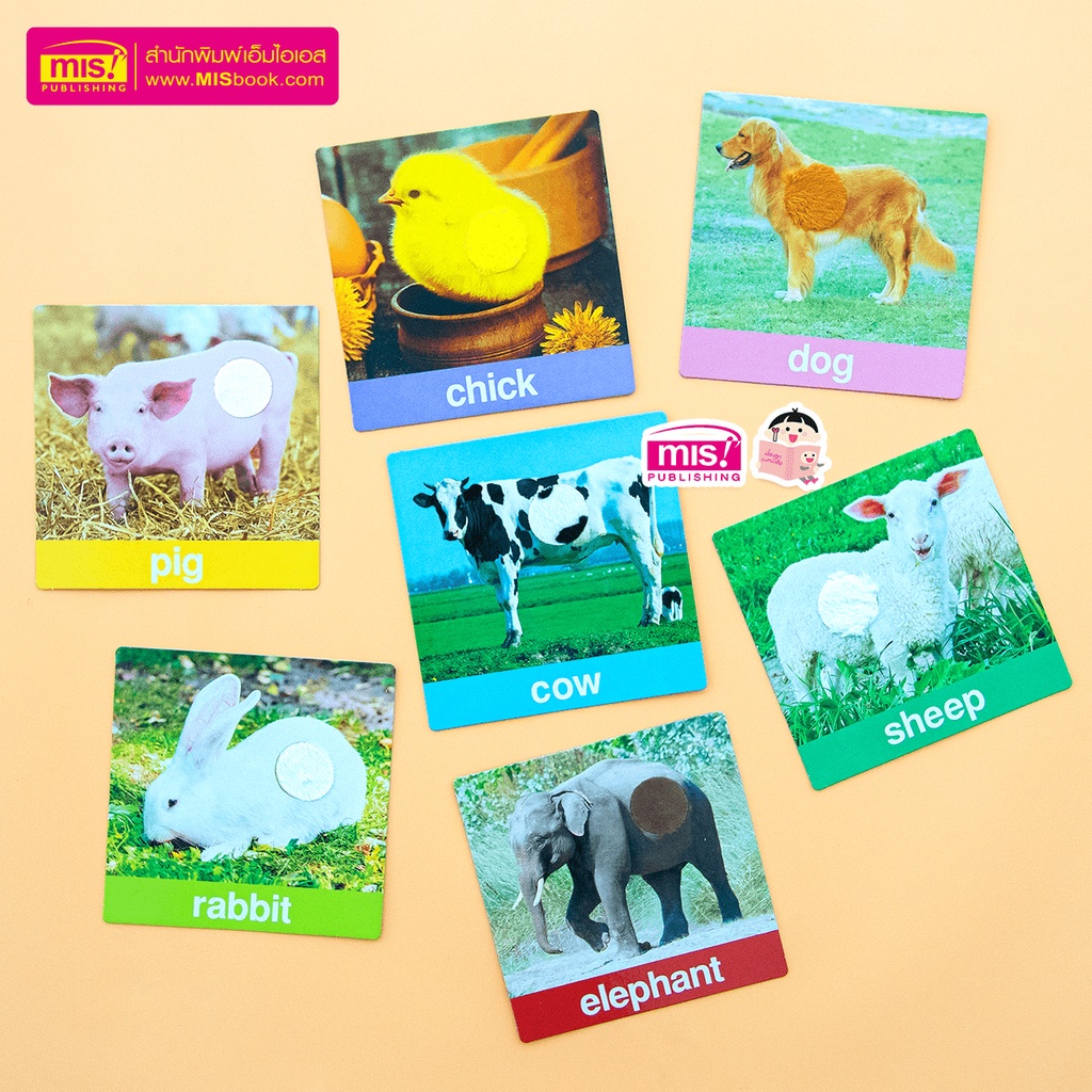 แฟลชการ์ดสัตว์น่ารัก Animal **ขนฟู** กระดาษแข็ง 14 แผ่น ขนฟู นุ่มนิ่ม