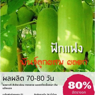 เมล็ดพันธุ์ ฟักแฟง แฟง 25 เมล็ด ลูกผสม (ซื้อ 10 แถม 1 คละอย่างได้)