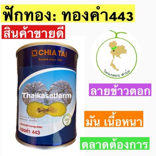 ทองคำ443ฟักทองข้าวตอก ทองคำ100กรัม‼️ขายดี‼️💥ล้อคใหม่ล่าสุด